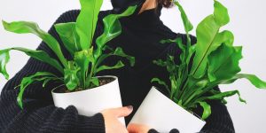 About group 107 300x150.jpg